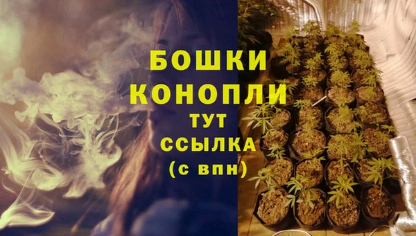 мет Богданович