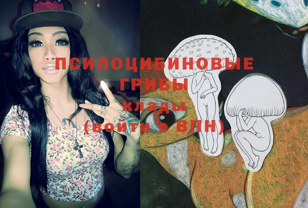 винт Бородино
