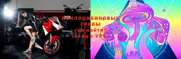 молекула духа Богородицк