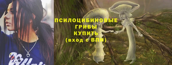 винт Бородино