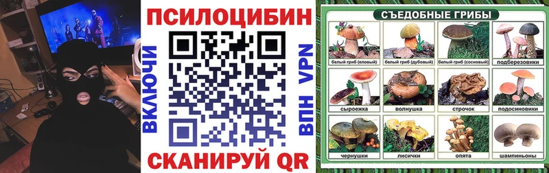Купить где  Пионерский  Галлюциногенные грибы Magic Shrooms 